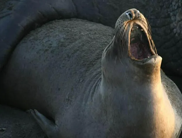 Lucia Lodge hotel detail image 4