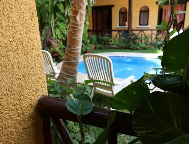 Hotel Bosque Caribe , 5th Av Zone hotel detail image 2