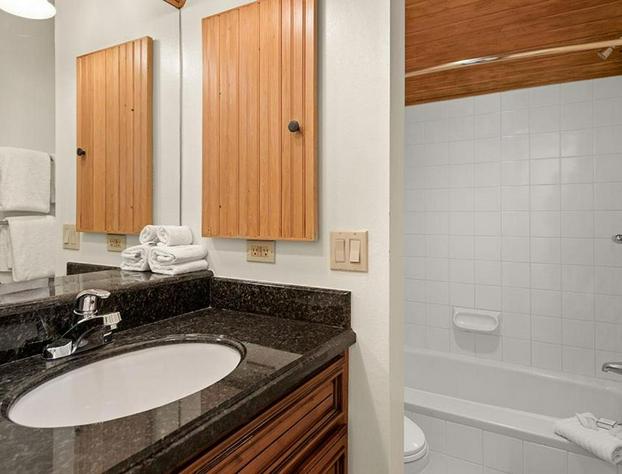 Independence Square Unit 313 Downtown Hotel Room in Aspen with Rooftop Hot Tub hotel detail image 4