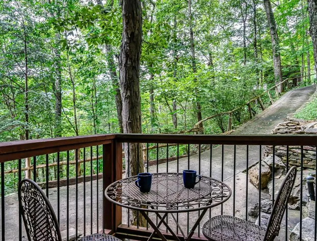 Laurel Valley Mountain Retreat hotel detail image 3