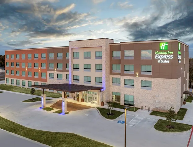 Holiday Inn Express & Suites Austin Airport East by IHG hotel detail image 2