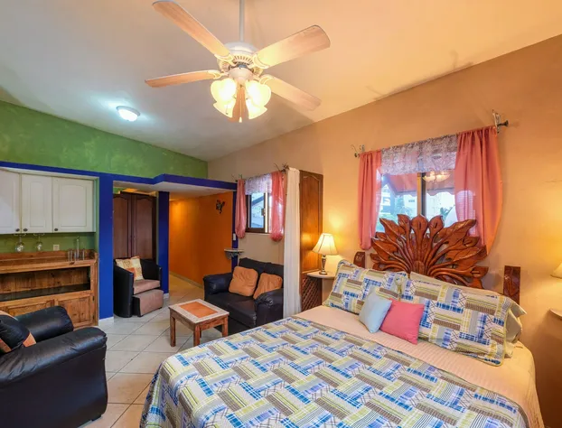 5 Frogs Hotel Bucerias hotel detail image 1