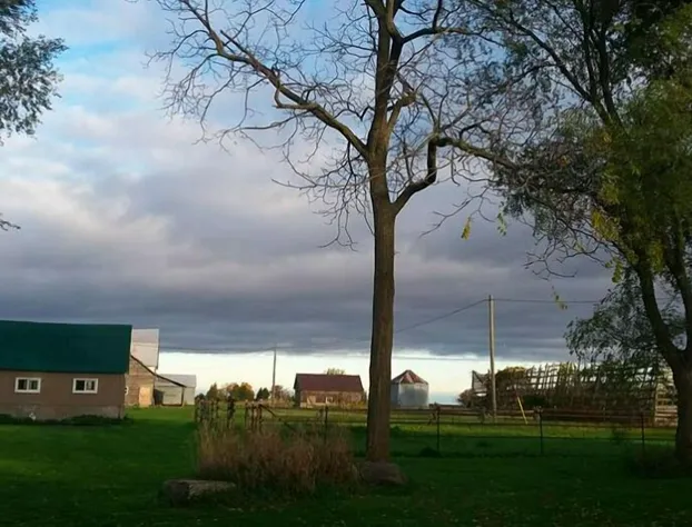 Mapiya Retreat hotel detail image 2