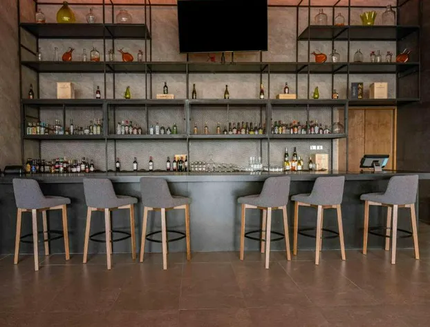 Galeria Plaza Leon hotel detail image 1