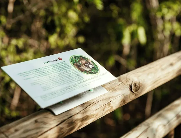 Jungala Hotel at VidantaWorld Riviera Maya hotel detail image 4