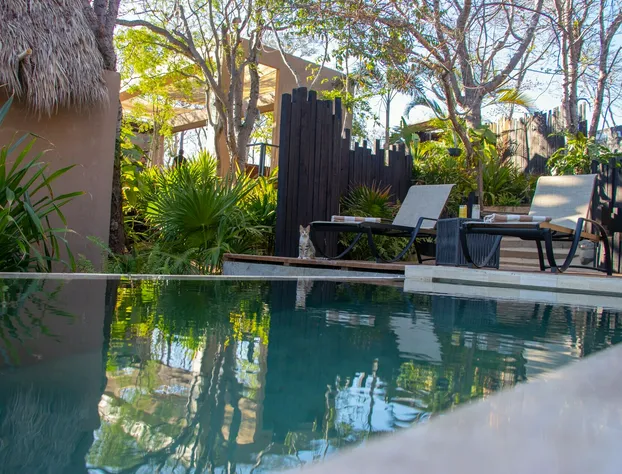 Casa A´more hotel detail image 3