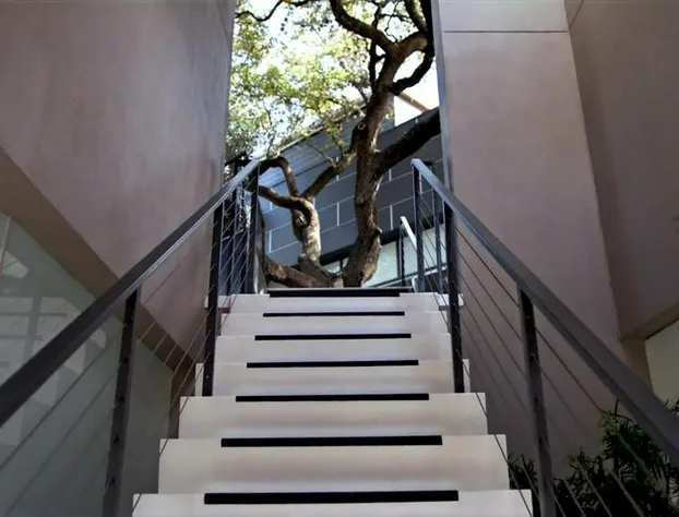 Frame Hotel - Treehouse (formerly Kimber Modern) hotel detail image 3