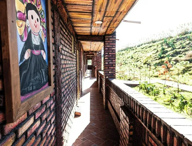 Hotel Cabañas Los Agaves hotel detail image 4