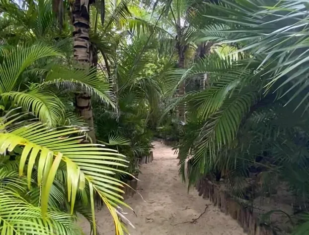 Lumilek Tulum hotel detail image 4