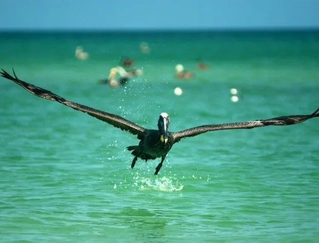 Casa Mia El Cuyo Eco Beach Boutique hotel detail image 4