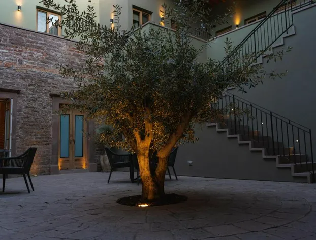 Hotel Casa Aranzazu San Luis Potosi hotel detail image 4