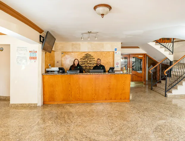 Los Cedros Hotel Inn Ciudad Juárez hotel detail image 2