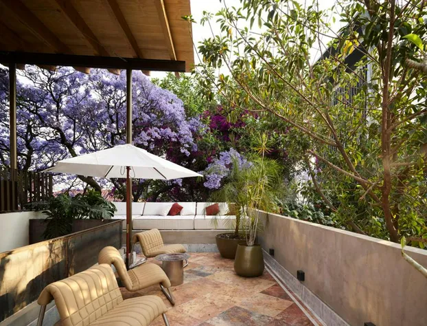 Hotel Dama hotel detail image 1