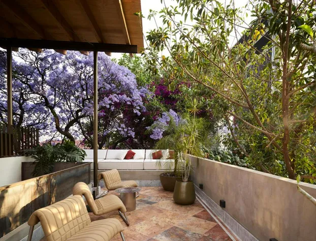 Hotel Dama hotel detail image 2