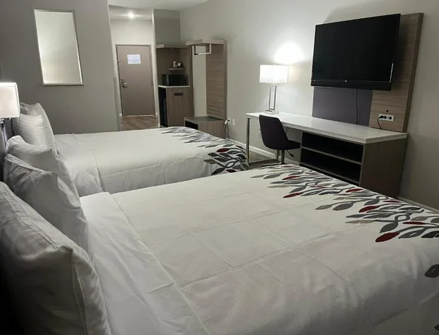 Red Roof PLUS+ San Antonio Northeast hotel detail image 4