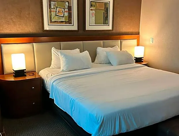 MGM Signature hotel kitchen free parking hotel detail image 3