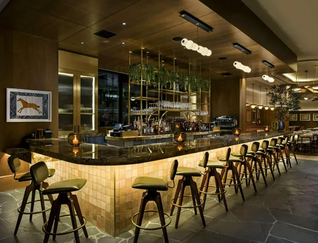 Thompson Palm Springs, by Hyatt hotel detail image 3