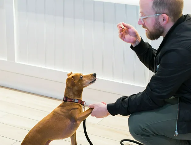 Hyatt House BWI Airport Baltimore hotel detail image 1