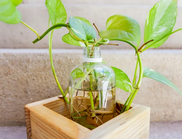 Siena Suite hotel detail image 3