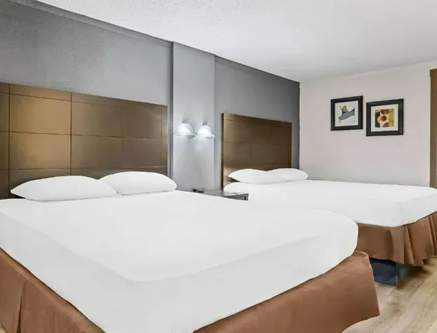 Rodeway Inn & Suites Saginaw I-675 hotel detail image 3