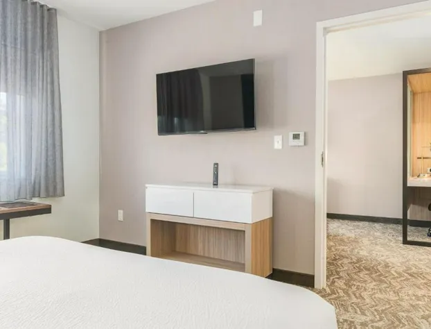 SpringHill Suites by Marriott Freeport Brunswick hotel detail image 1