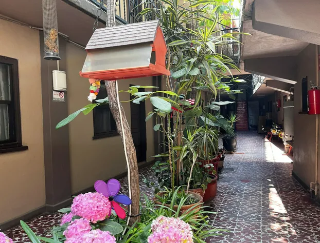 OYO Hotel Linda Tijuana hotel detail image 2