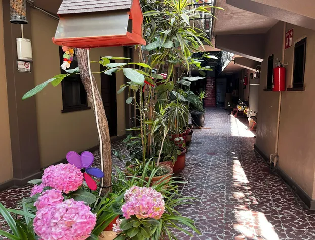 OYO Hotel Linda Tijuana hotel detail image 3