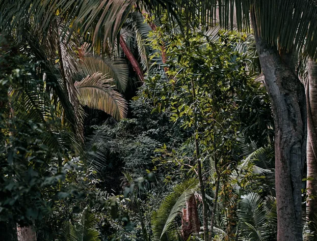 Rosewood Mandarina hotel detail image 1