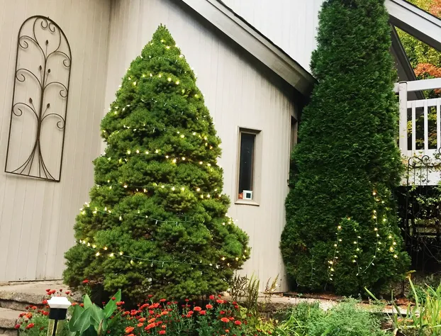Sunny Peace Homestay hotel detail image 2