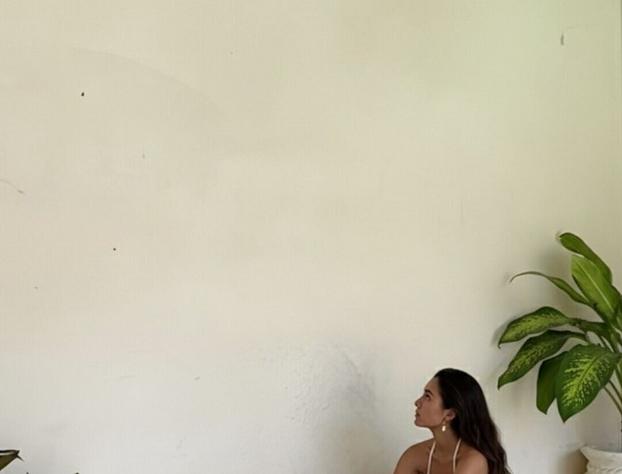 Casa Hamaca Nayarit hotel detail image 3
