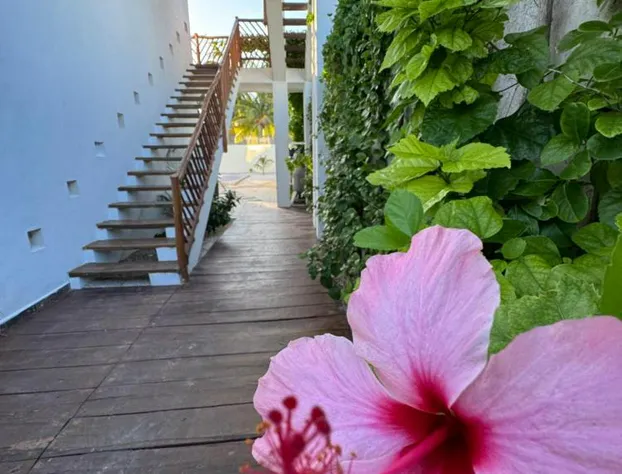 Mexhe Hotel Boutique hotel detail image 1