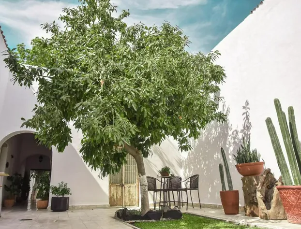 Casa Raco Hotel Boutique Parras de la Fuente hotel detail image 2