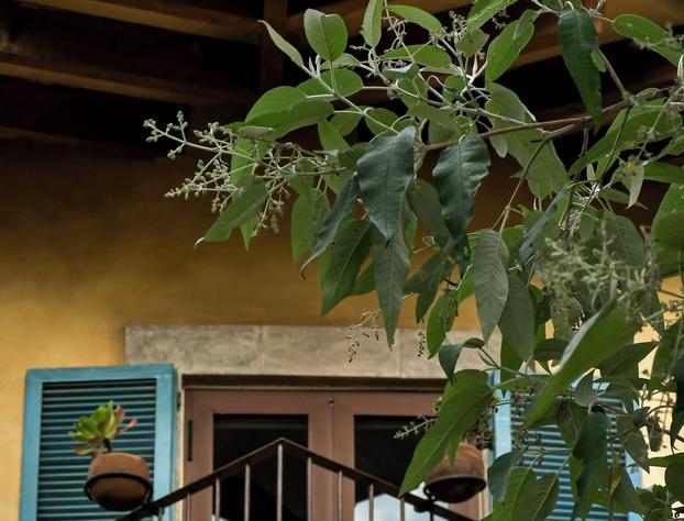 Porta Paradiso Albergo Boutique hotel detail image 3