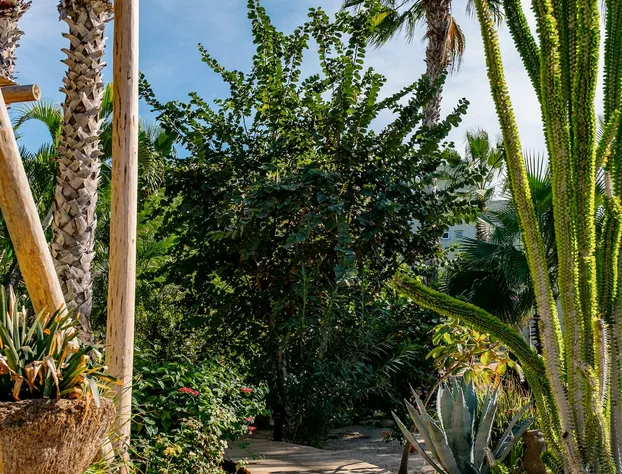 La Poza Boutique Hotel & Spa - Adults Only hotel detail image 3