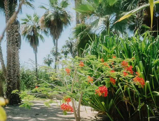 La Poza Boutique Hotel & Spa - Adults Only hotel detail image 4