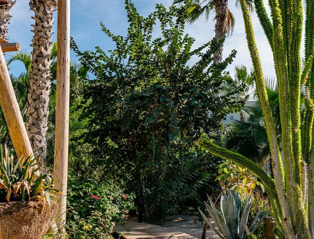 La Poza Boutique Hotel & Spa - Adults Only hotel detail image 3