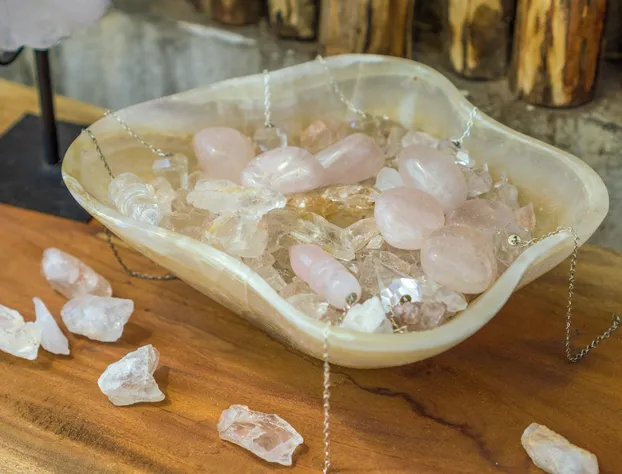 Jungla & Estrellas hotel detail image 4