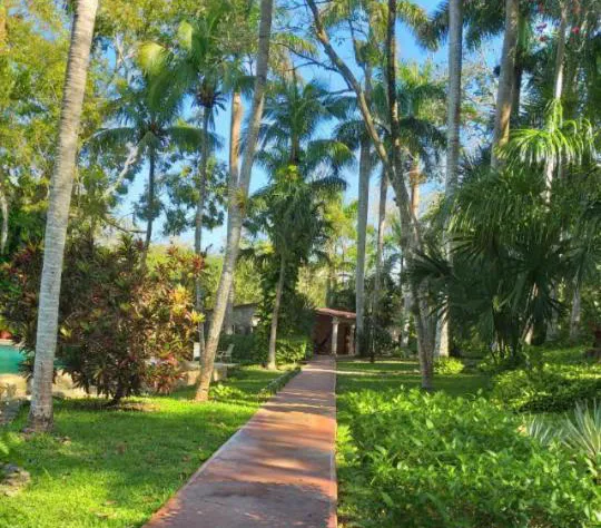 Hacienda Chichen Resort & Yaxkin Spa hotel detail image 3