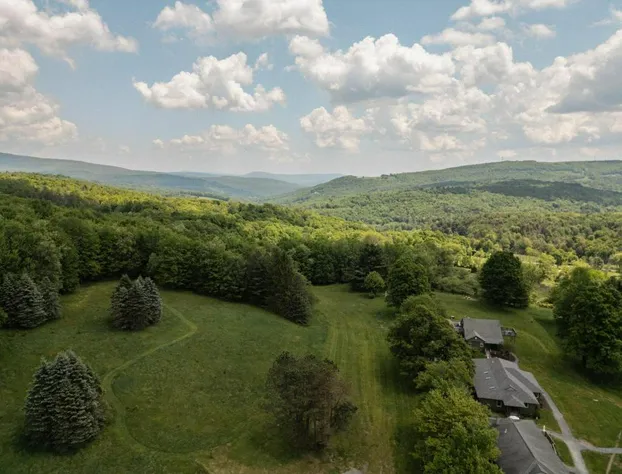 Hemlock Neversink hotel detail image 2