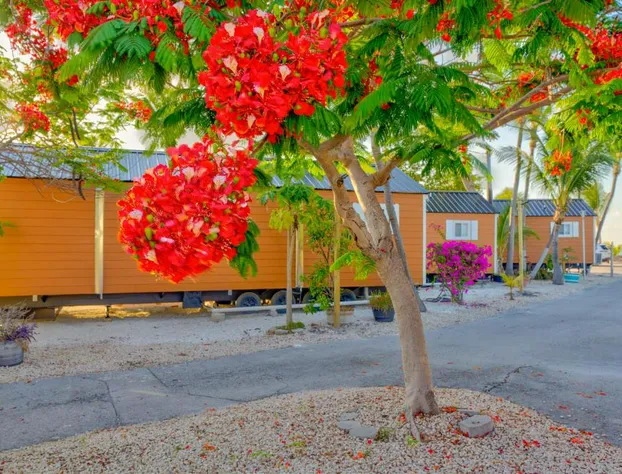 Aqua Lodges at 47th Street Gulfside hotel detail image 4