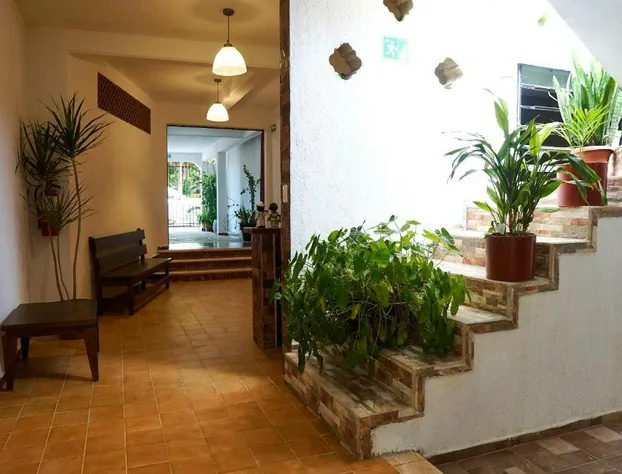 Hotel del Parque hotel detail image 3