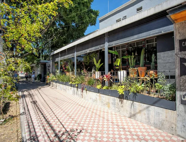 La Paz & Love Hostel hotel detail image 4