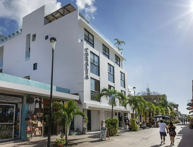 Coralia Boutique Hotel Cozumel hotel detail image 1