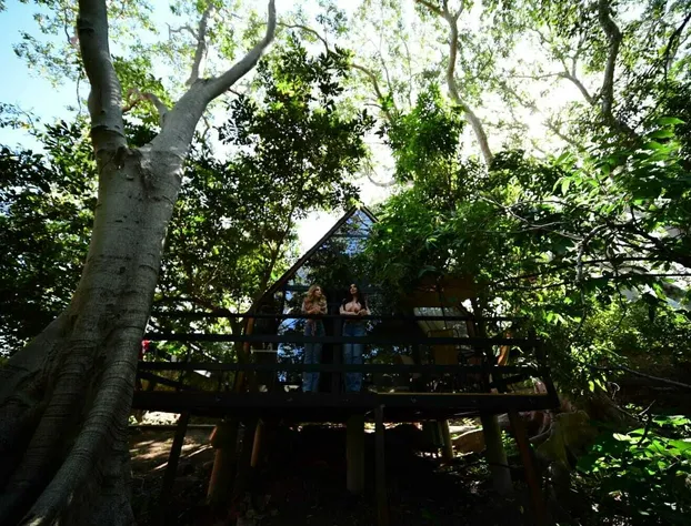 Hotel cabañas yyukkai hotel detail image 1