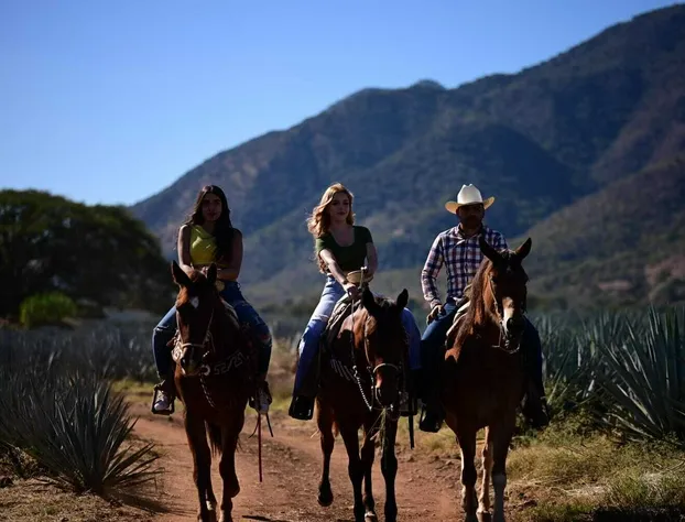 Hotel cabañas yyukkai hotel detail image 2
