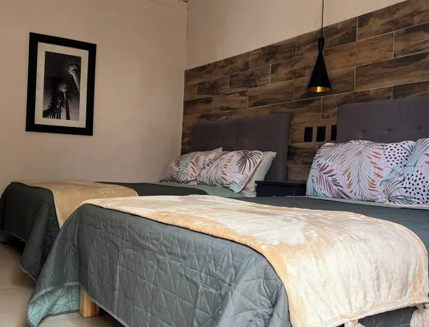 Black Tree Hotel Boutique hotel detail image 2