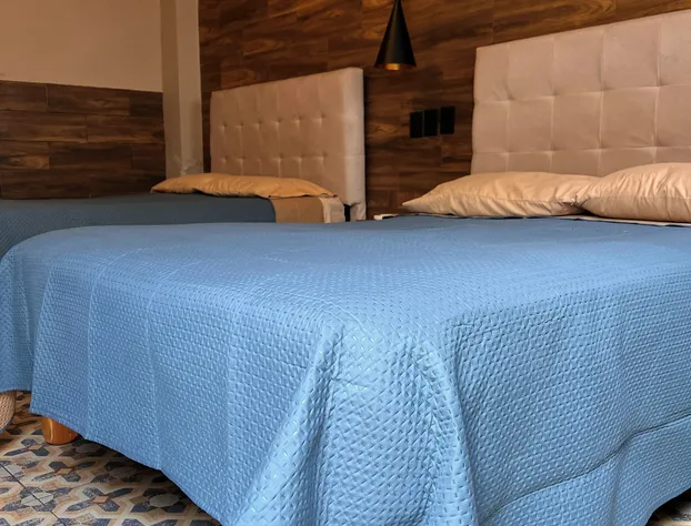 Black Tree Hotel Boutique hotel detail image 3