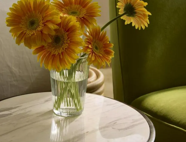 Pamlico Station Edgecamp hotel detail image 1