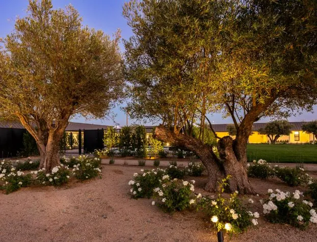 Hotel Bayit hotel detail image 1