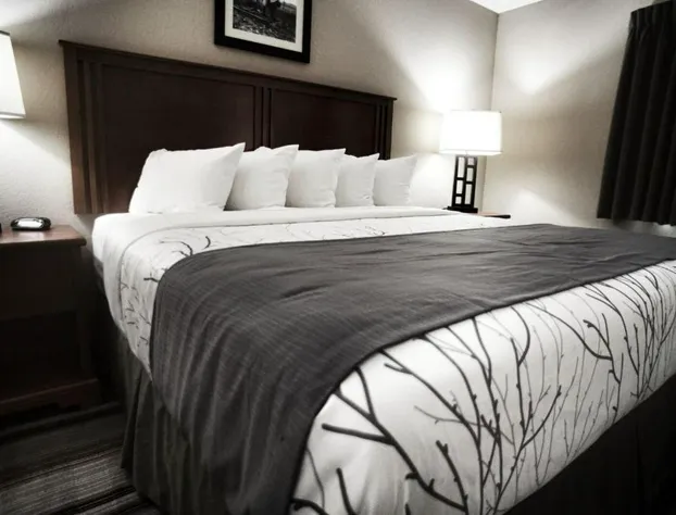 The Lodge at Moorcroft hotel detail image 4